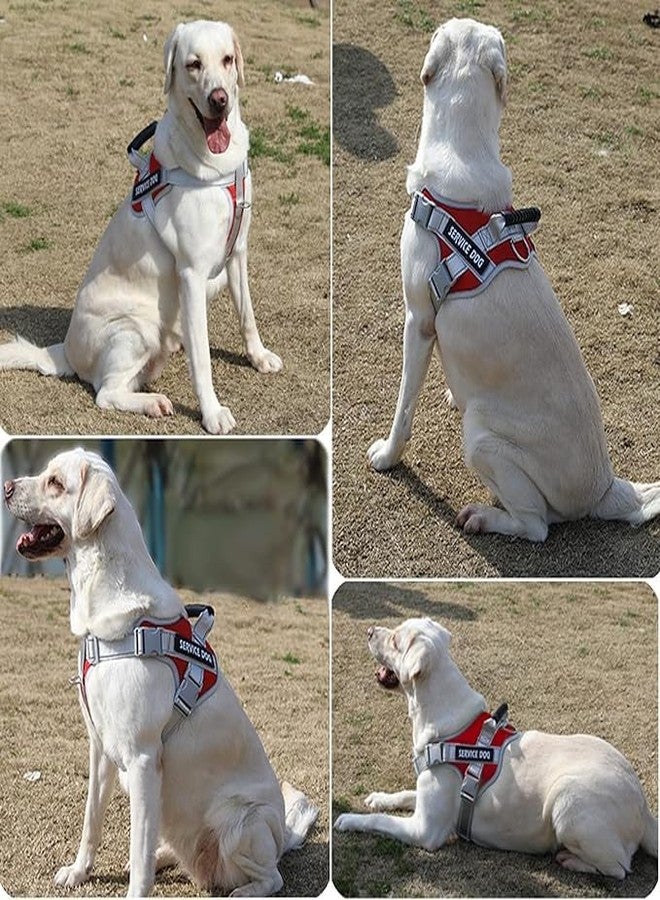 Cavalry Service Dog Harness with Leash, Blue and Black (Red, Large) - Image 2